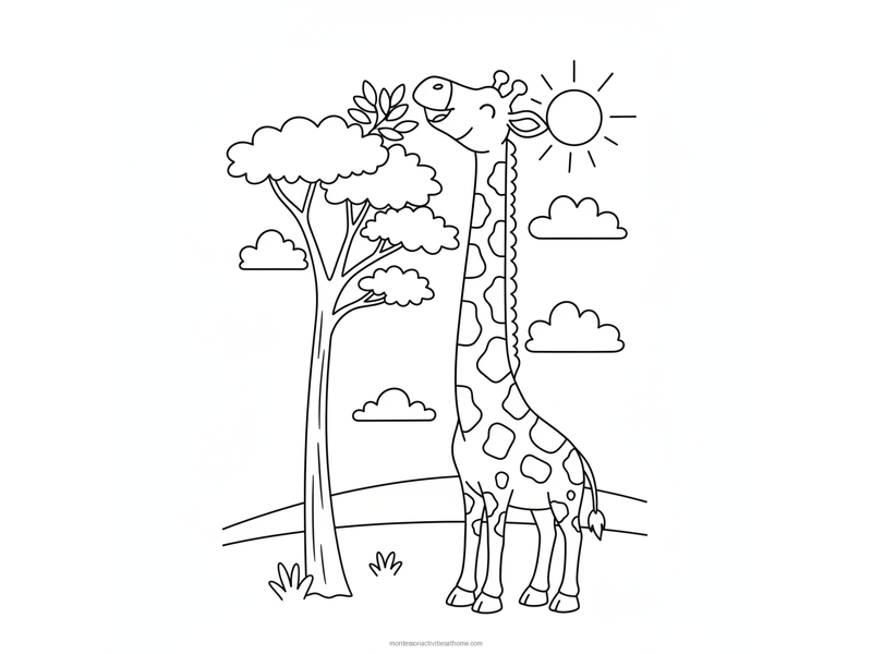 Giraffe coloring page with a tall spotted giraffe reaching up to eat leaves from an acacia tree - free printable for kids