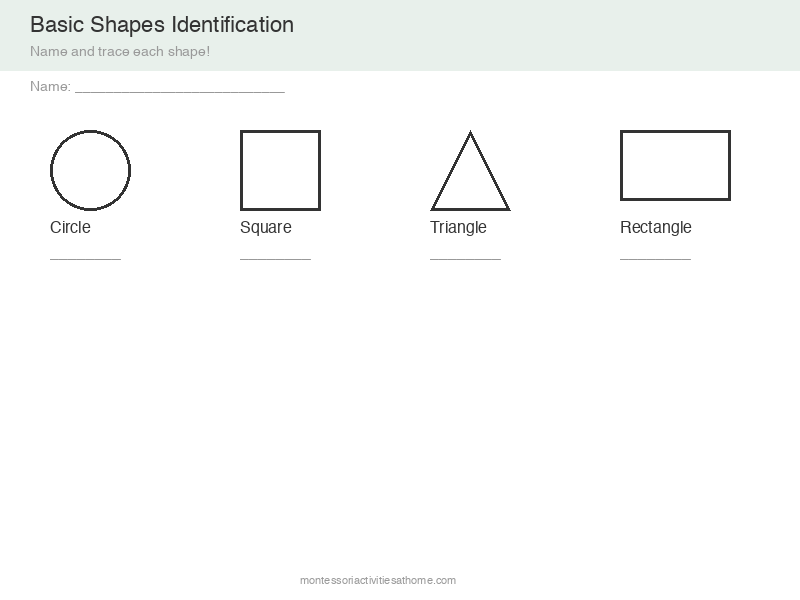 Basic shapes identification worksheet with circle square triangle rectangle - free printable