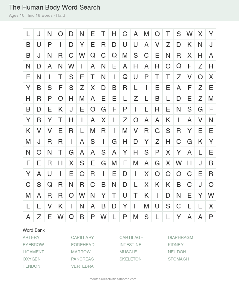 Free printable the human body word search for 10 year olds &mdash; 18x18 grid with 18 hidden words